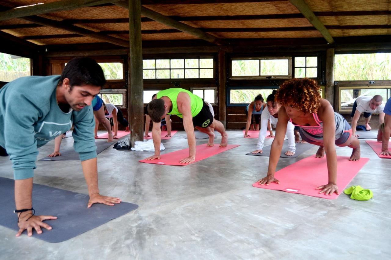 Star Pine Lodge Σίντρα Εξωτερικό φωτογραφία